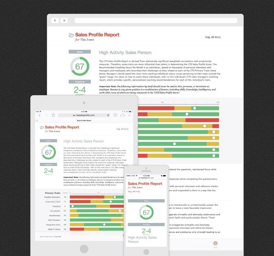 CTS SalesProfile Responsive