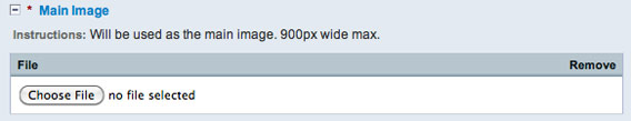 File Upload Instructions